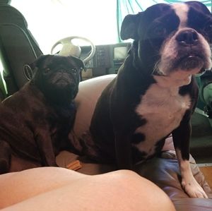 Meet your Posher, Peggy